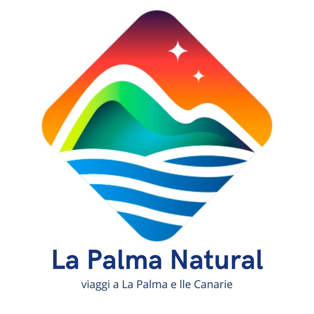 La Palma Natural SEO e Sito Gianluca Guerra